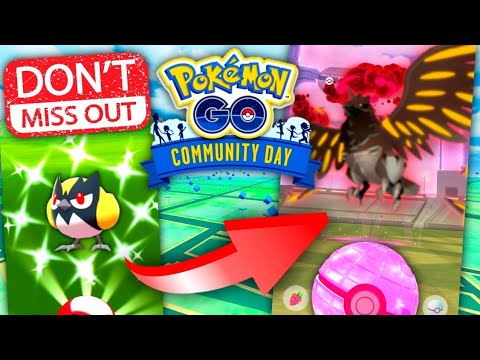 *DONT MISS SHINY ROOKIDEE COMMUNITY DAY & FARM FOR GIGANTAMAX CORVIKNIGHT* Pokemon GO news