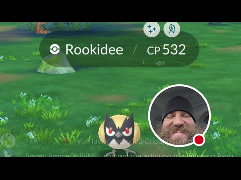 Rookidee Community Day - LIVE - Shiny Hunt [Pokemon GO]