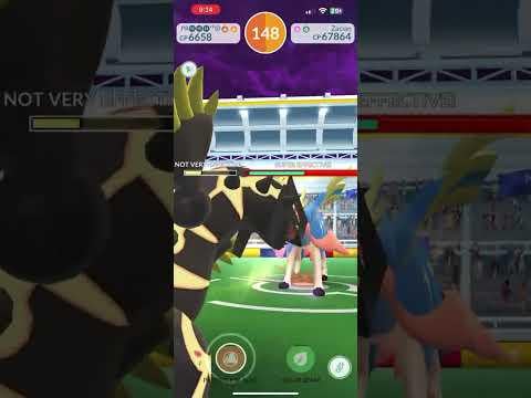 Zacian-Crowned Solo 🗡️ (T3 Go Pass), Metal Claw/Play Rough, Sunny, Primal Groudon + Shadow Mamoswine Catch Tanks
