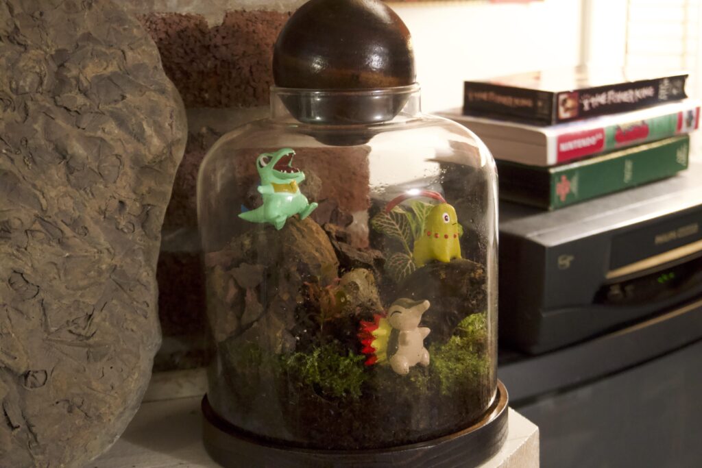 First try making a Pokemon Terrarium, Johto starters were resin printed and painted by me as well