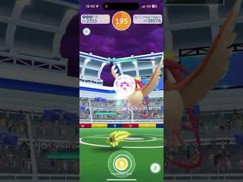 Mega Pidgeot Solo (Steel Wing/Aerial Ace) w/ Regieleki