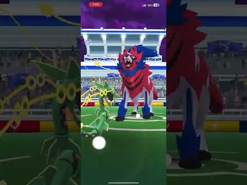 Zamazenta-Hero Solo 🗡️, Snarl/Crunch, Windy, Mega Rayquaza + Shadow Mewtwo Catch Tanks