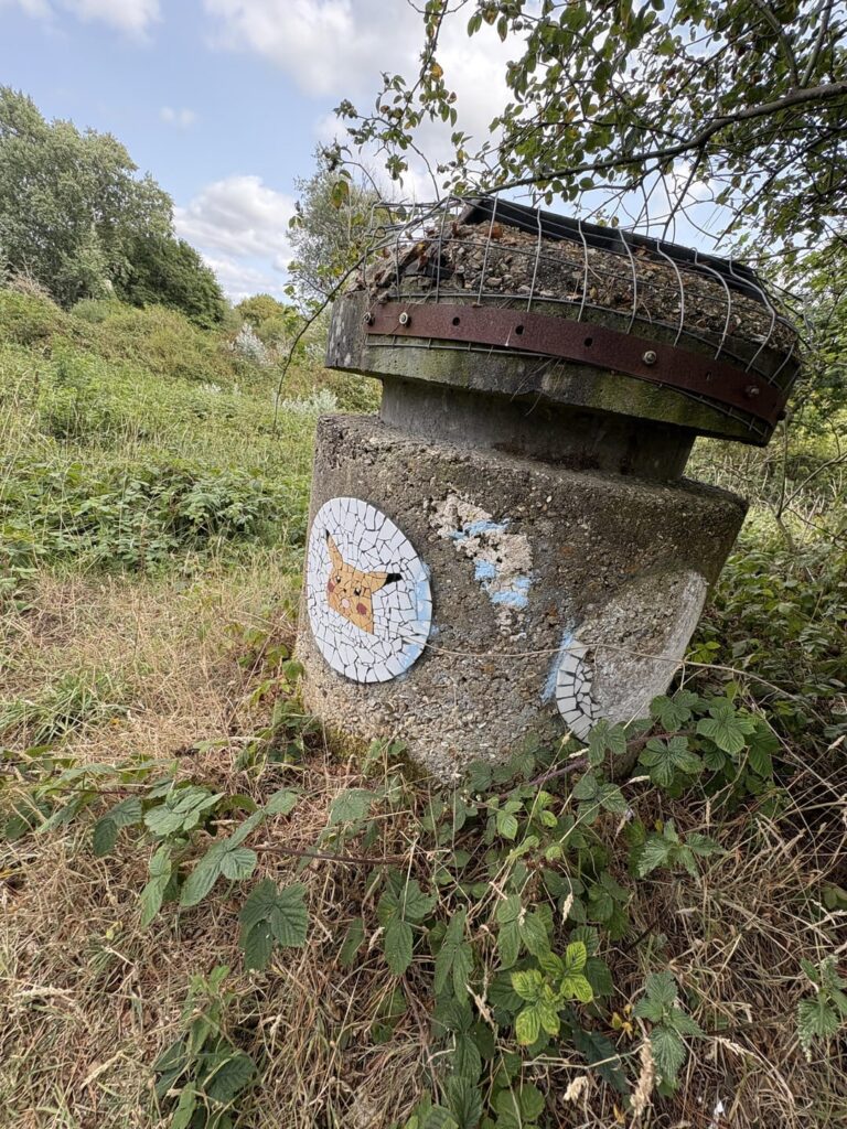 Cool pokestop in my local dog walking field