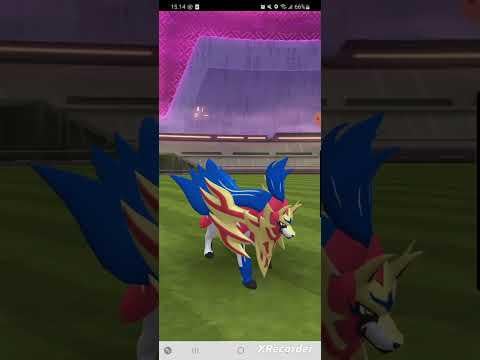 Dynamax Zapdos Solo - Shroomless - No Gmax - No Weatherboost
