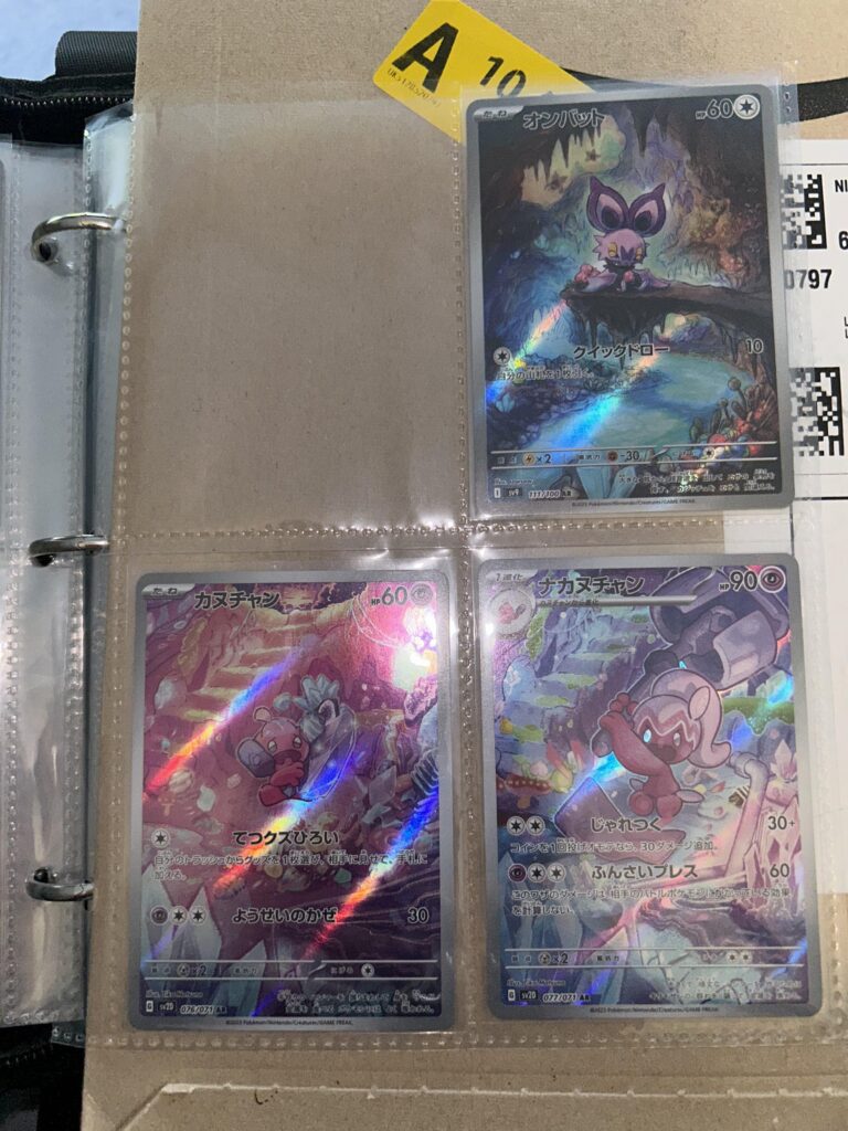 Pokemon in caves binder page!