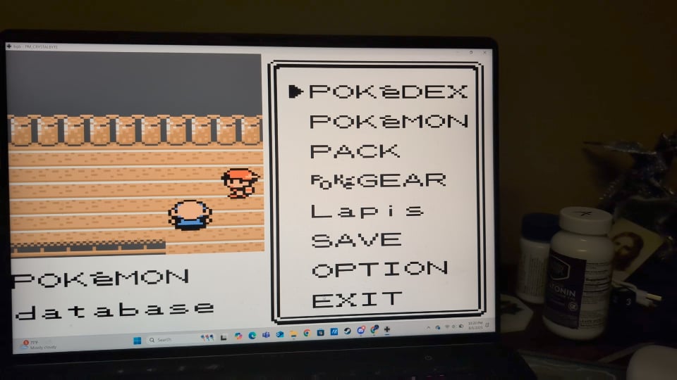 Is Geodude doing the Caramelldansen?