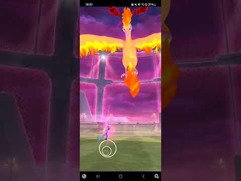 Dynamax Moltres Solo In Rain (No Max Mushroom, No Adventure Effect, L4 Helper)