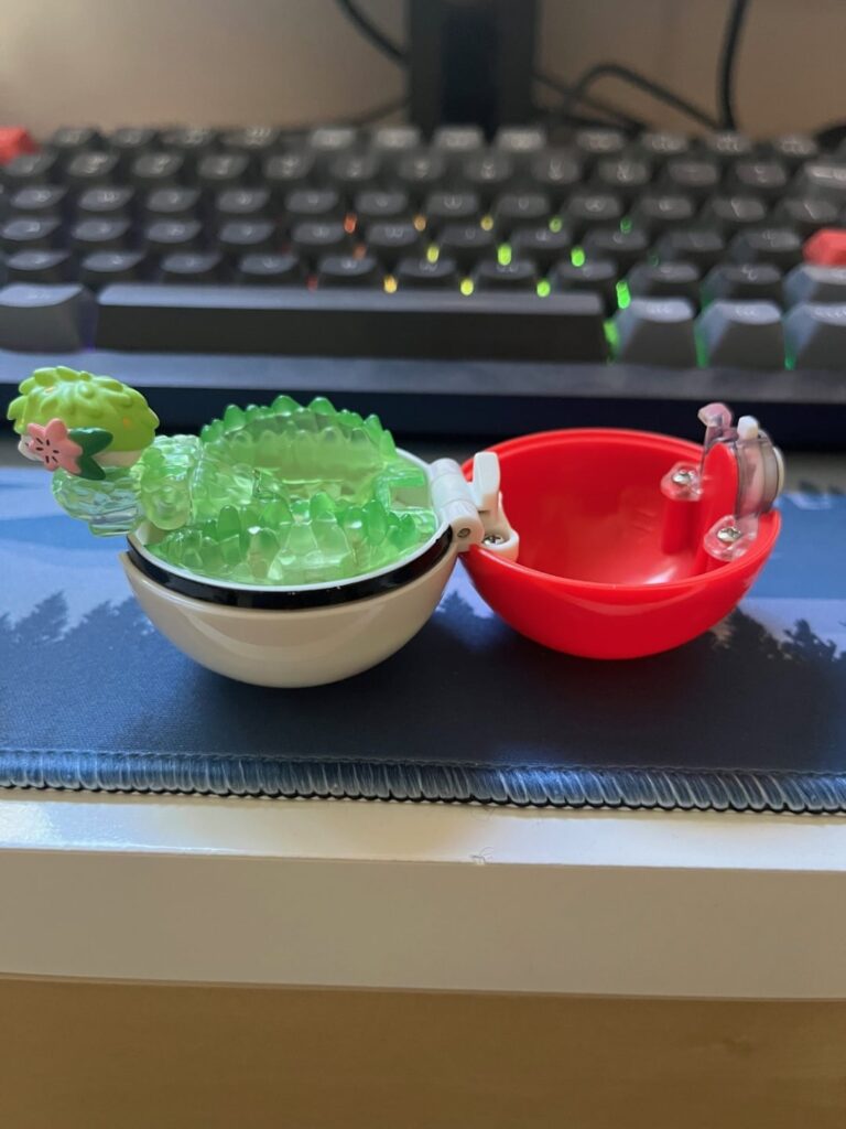 Anyone know what this toy is called?