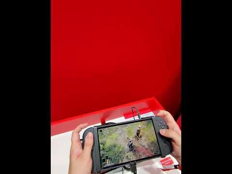 Elden ring handheld gameplay