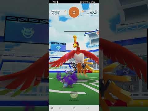 Ho-oh Solo - Lvl 40 Attackers