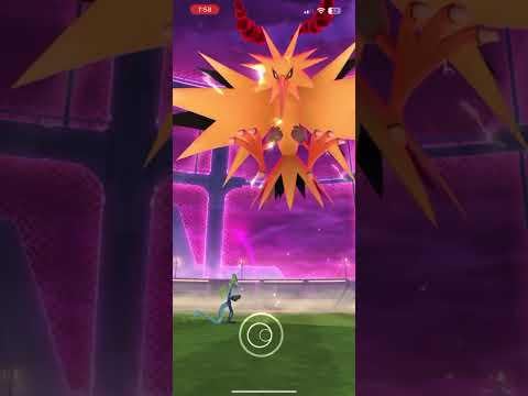 Dynamax Zapdos Solo, No 🍄, AoE: Thunder/🎯 Ancient Power, No Weather Boost, T4 Helpers, No Adventure Effect