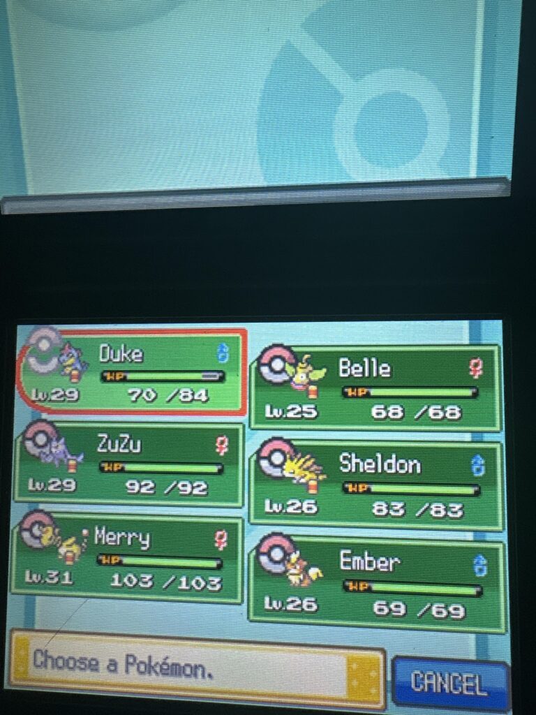 Heartgold Team Help