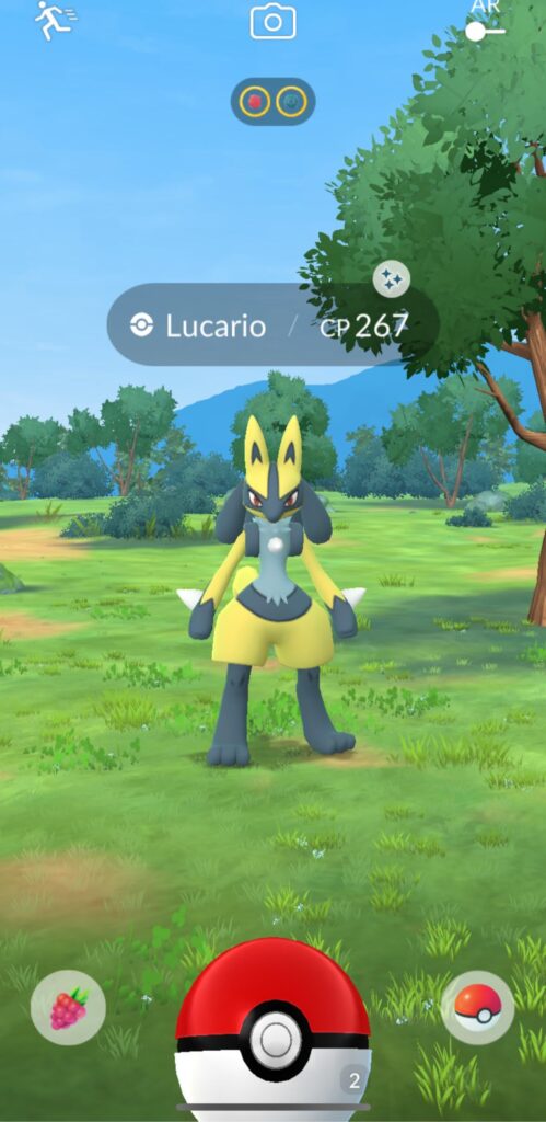 This might be one of the coolest wild Shinies I’ve ever gotten…