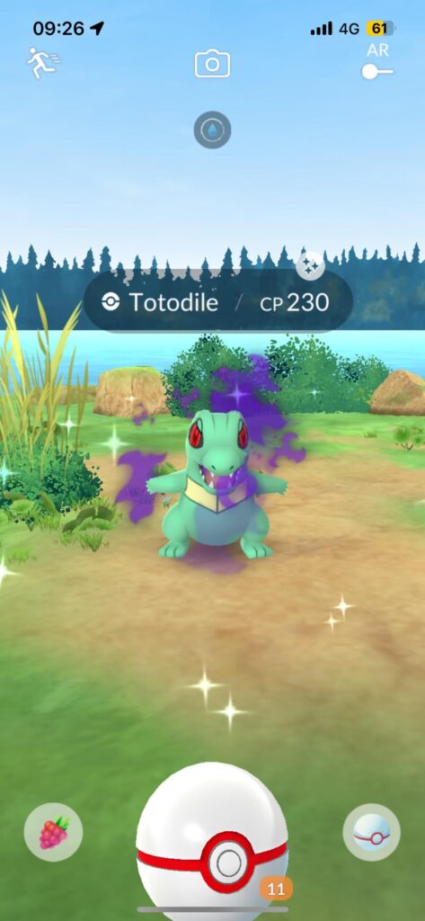 Shadow shiny Totodile