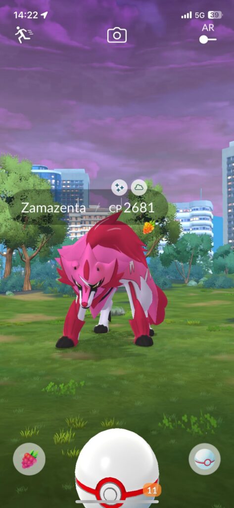 Did One Zamazenta raid.. caught this