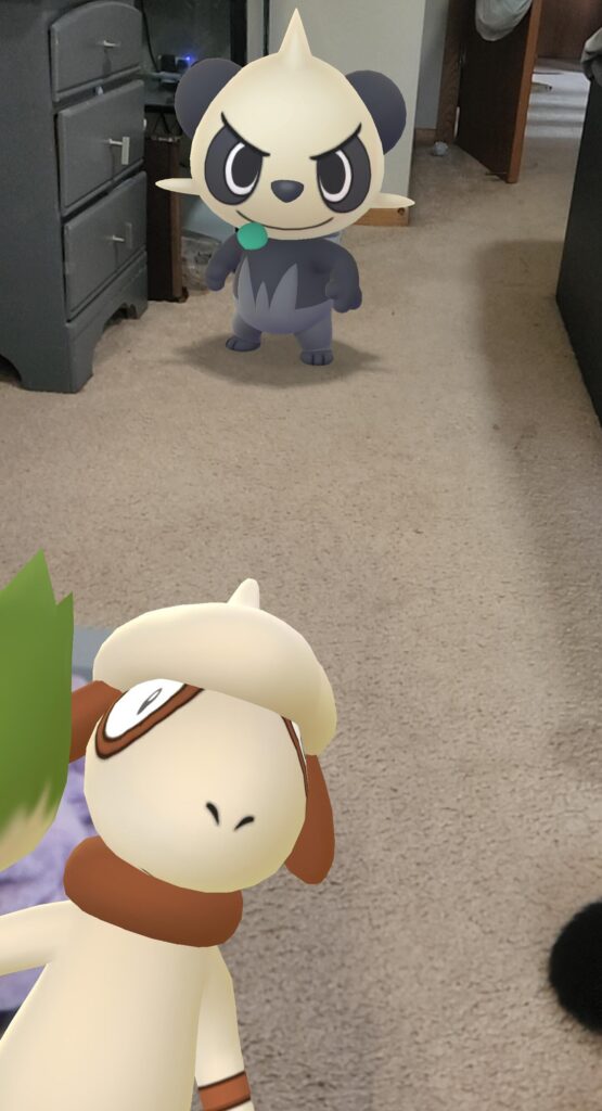 How did this photo bomb happen??