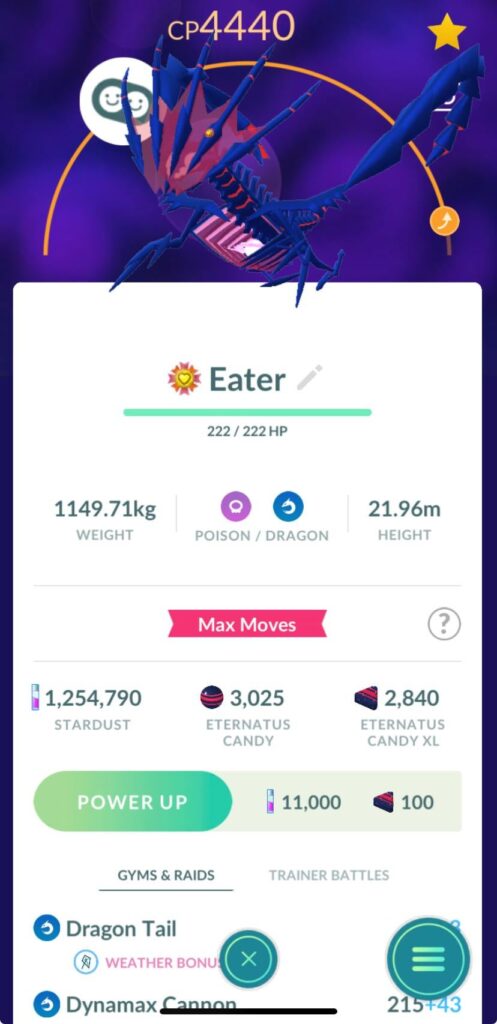 Eternatus buddy ribbon