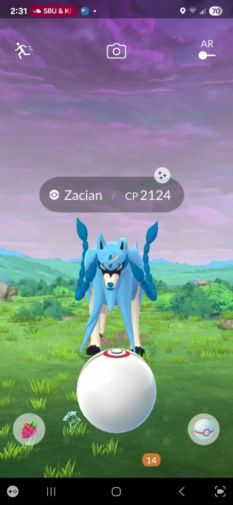 I know the raids boost your shiny chances, but this is absolutely! I caught two shiny Zacians in two back to back raids