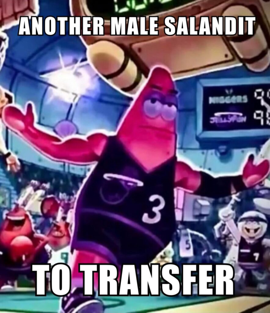 me every time I hatch a Salandit (I’m 30-0)