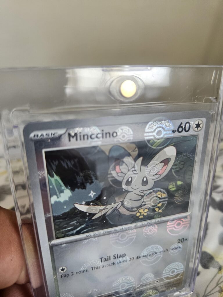 This Minccino is holding the pokéball perfectly
