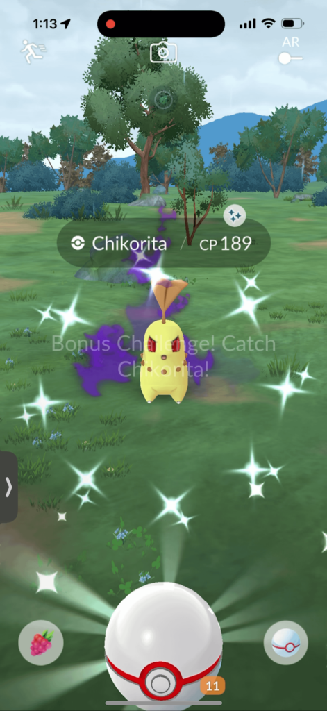 Shiny Shadow Chikorita Verification