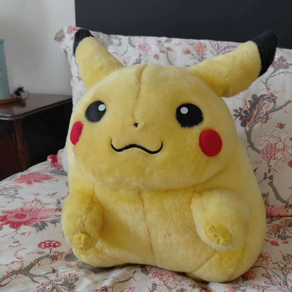 1999 Chonk