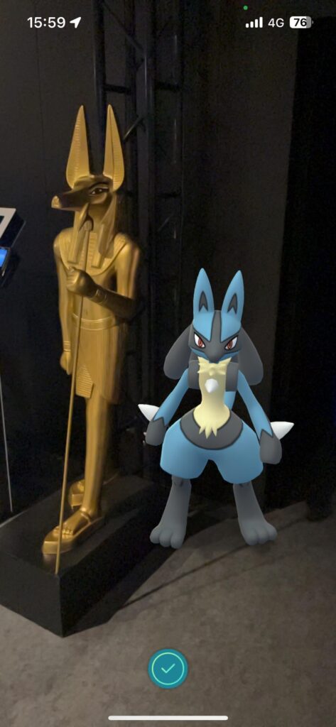 Brought Lucario to see the family history.