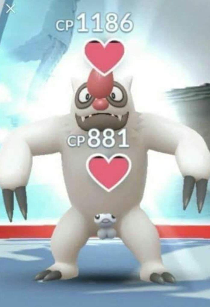 Which one of you did this