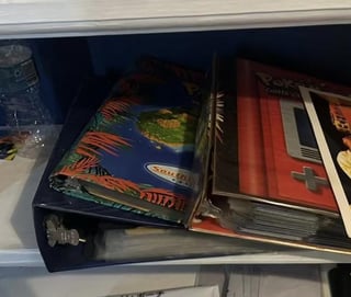 I’m getting my childhood binders back after 16 years.
