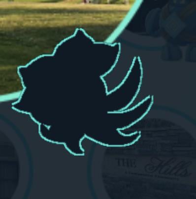 What POKEMON is this?