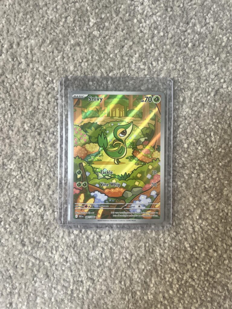 SNIVY IR