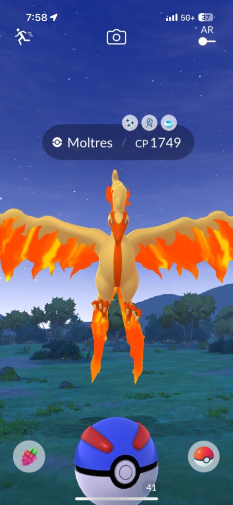 First Galarian Bird!