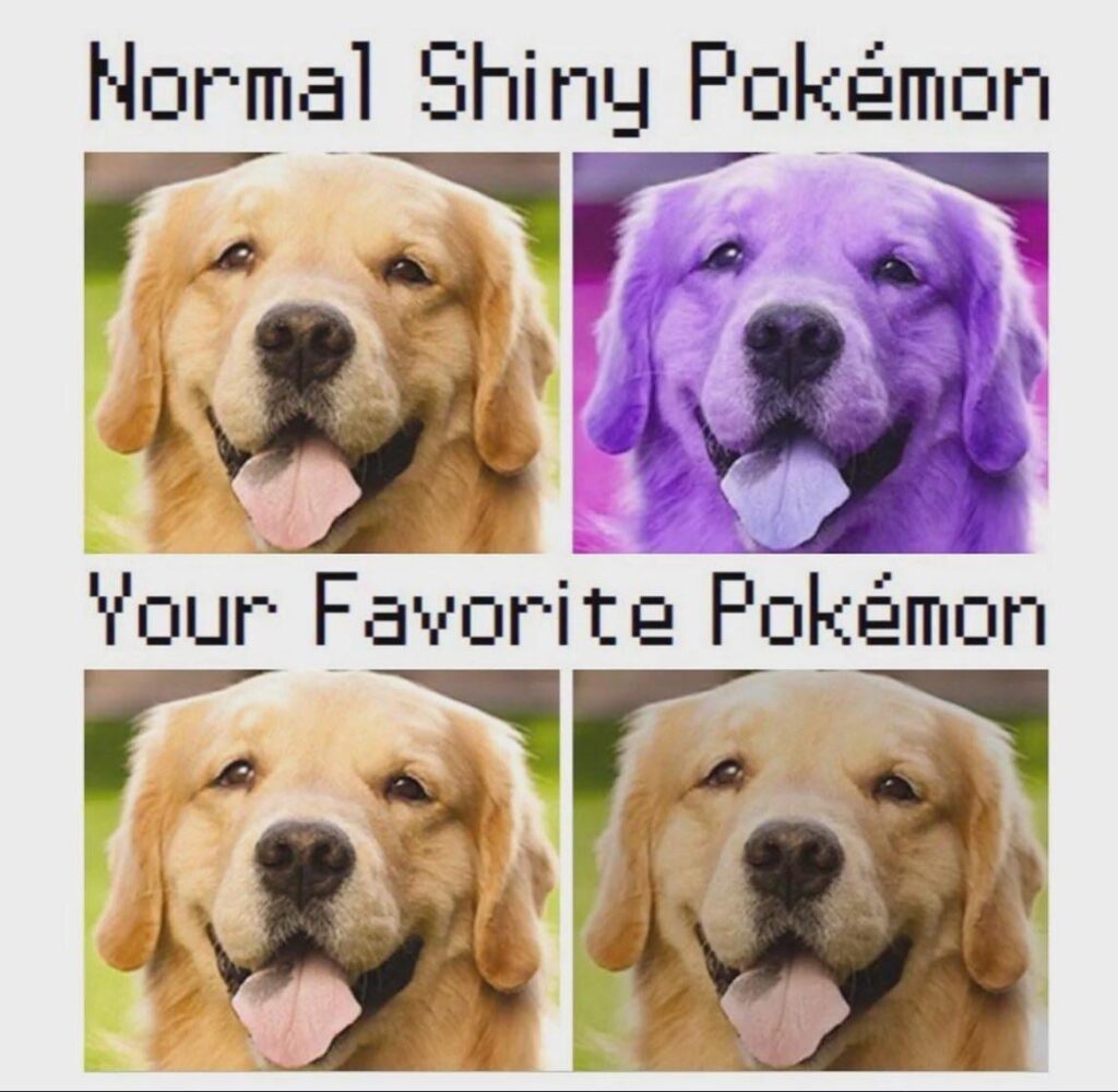 Fr left is shiny