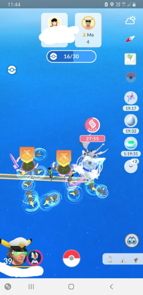 Went to the beach looking for wiglet. Bug or something else?