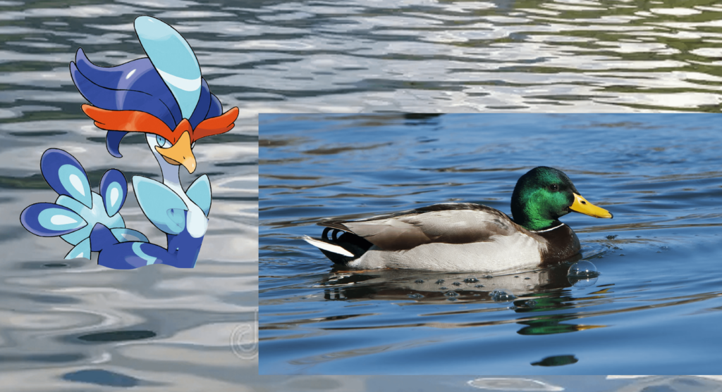 One design detail I find really clever: Quaquaval's torso silhouette is meant to evoke that of a duck swimming