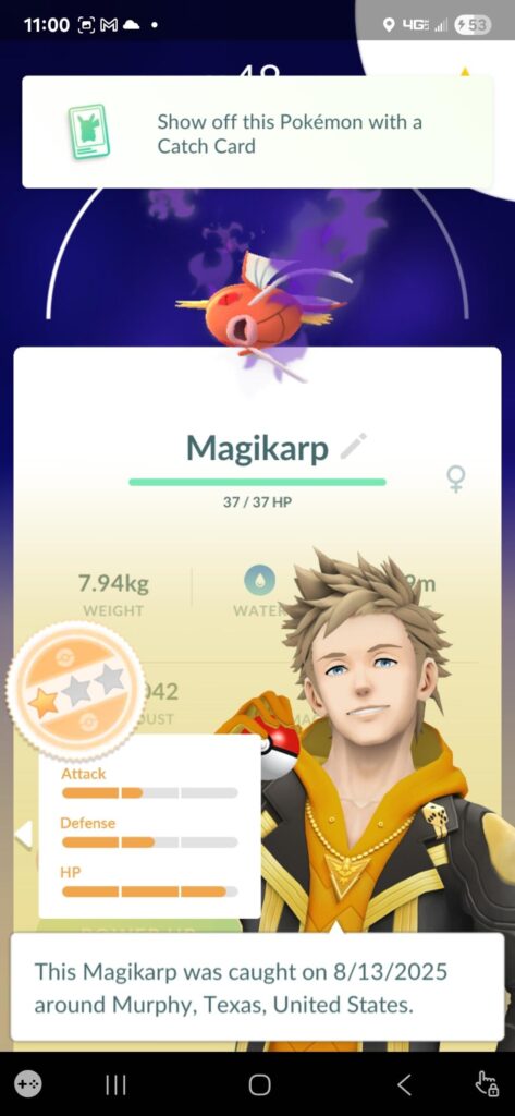 Gyarados with good iv or shadow gyarados with bad iv?