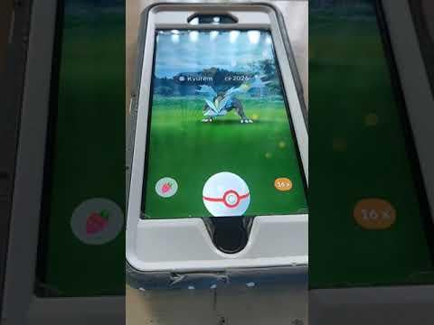 PSA Shadow Kyogre is hard to catch, take your time and save your golden razzberries