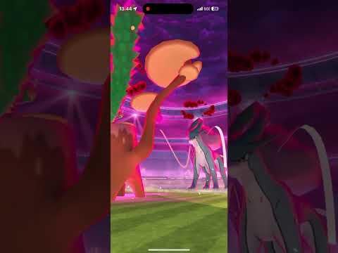 Dmax Suicune Solo