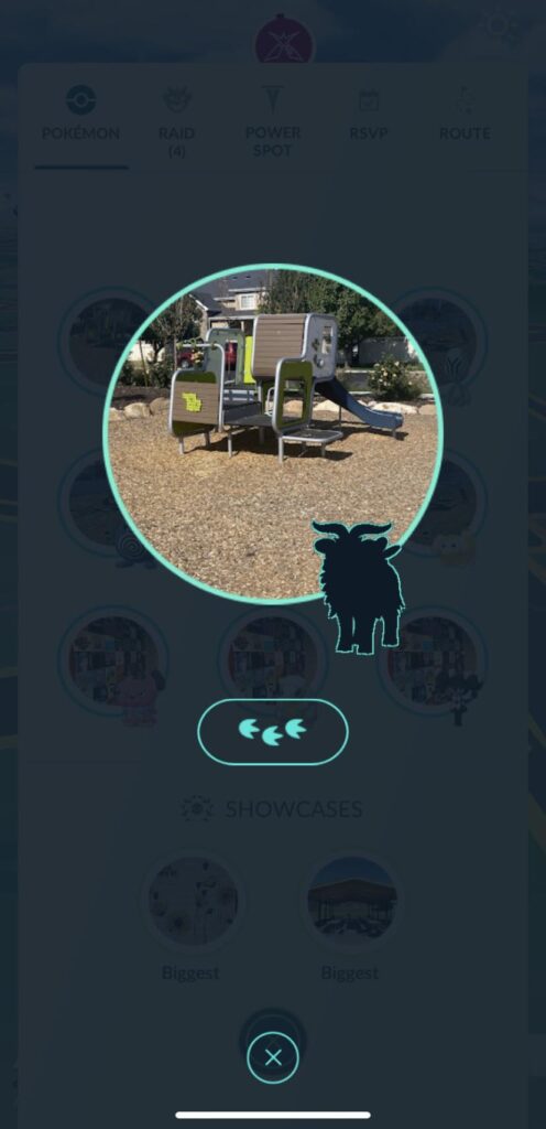 What Pokémon is this?