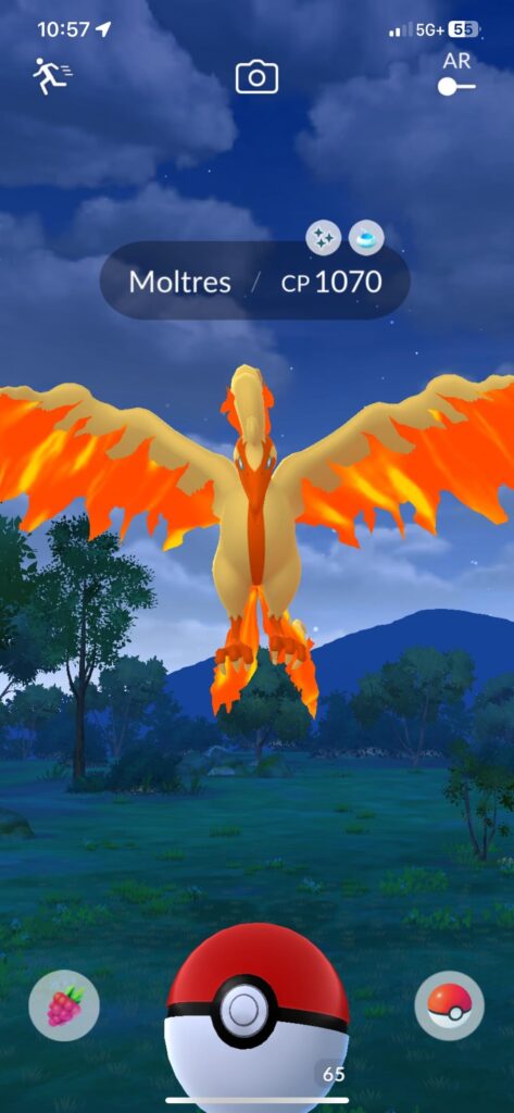 Finally got my team bird 🎉