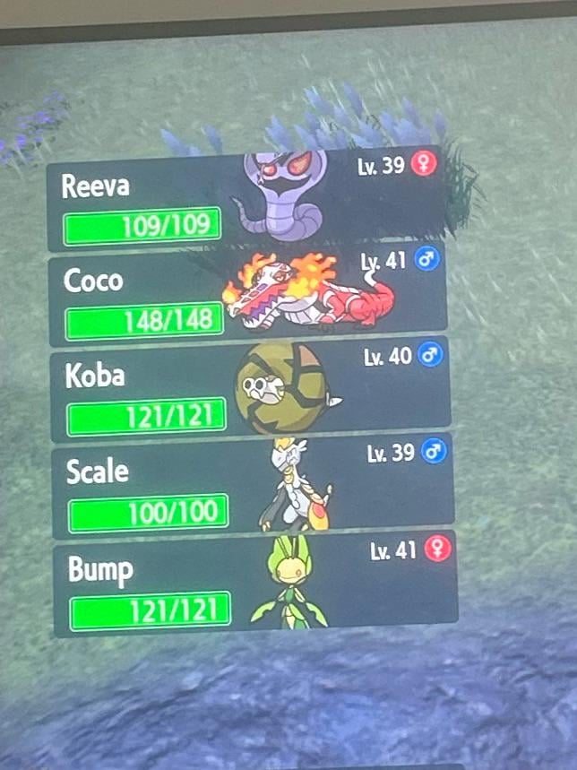 What do you think should be my last Pokemon in my violet playthrough???
