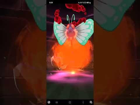 Gigantamax Butterfree Duo In Sunny 🍄 (No Helper, No Blade Boost)