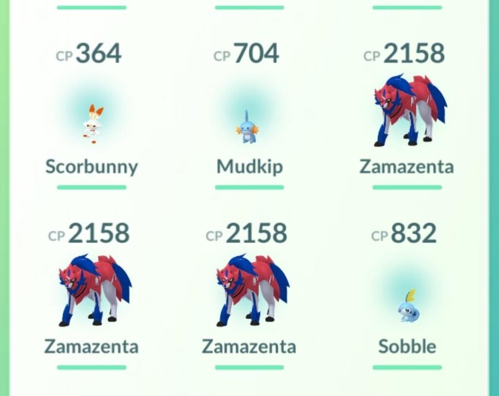 Raid Hour Zamazenta all had same IVs