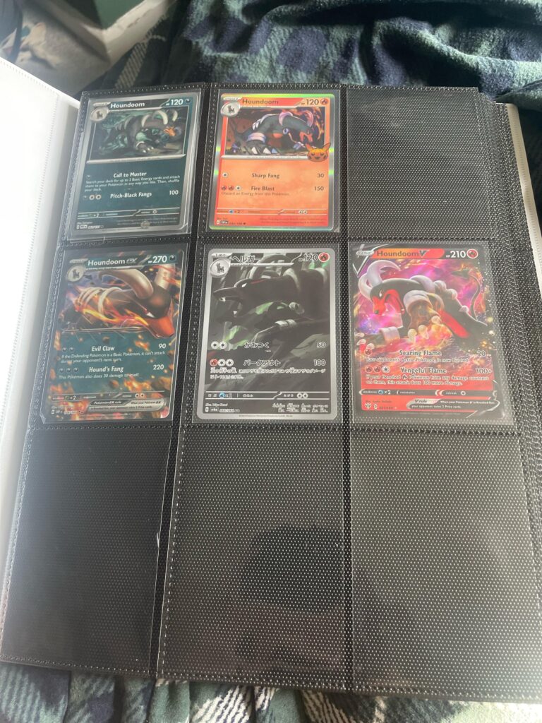 start of my houndoom collection