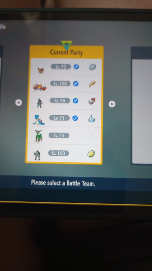It tells me that there is a problem with one of my Pokemon in my team when I wanna do a casual battle