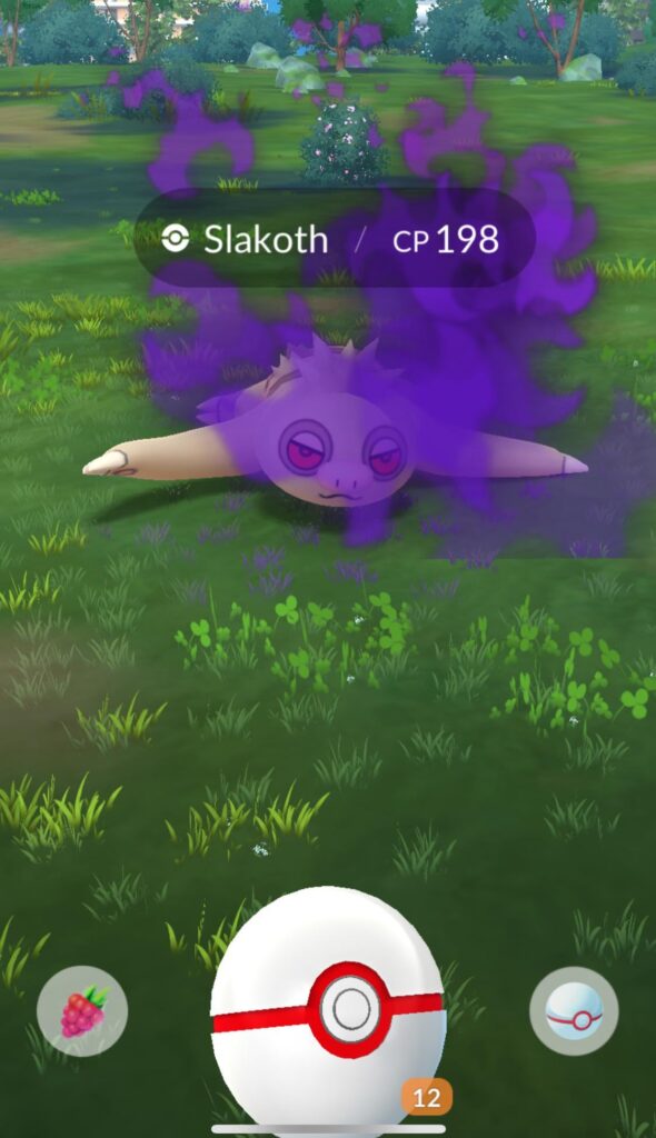 No costumed shadow slakoth