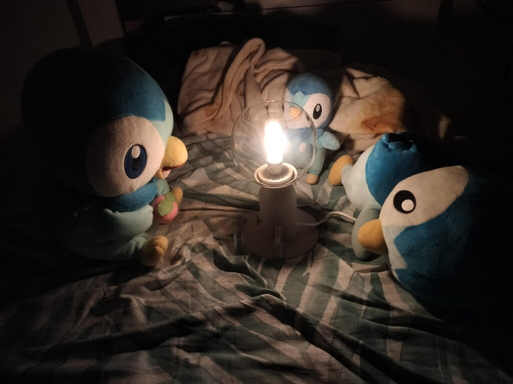 Piplups planning world domination in the chillest way possible