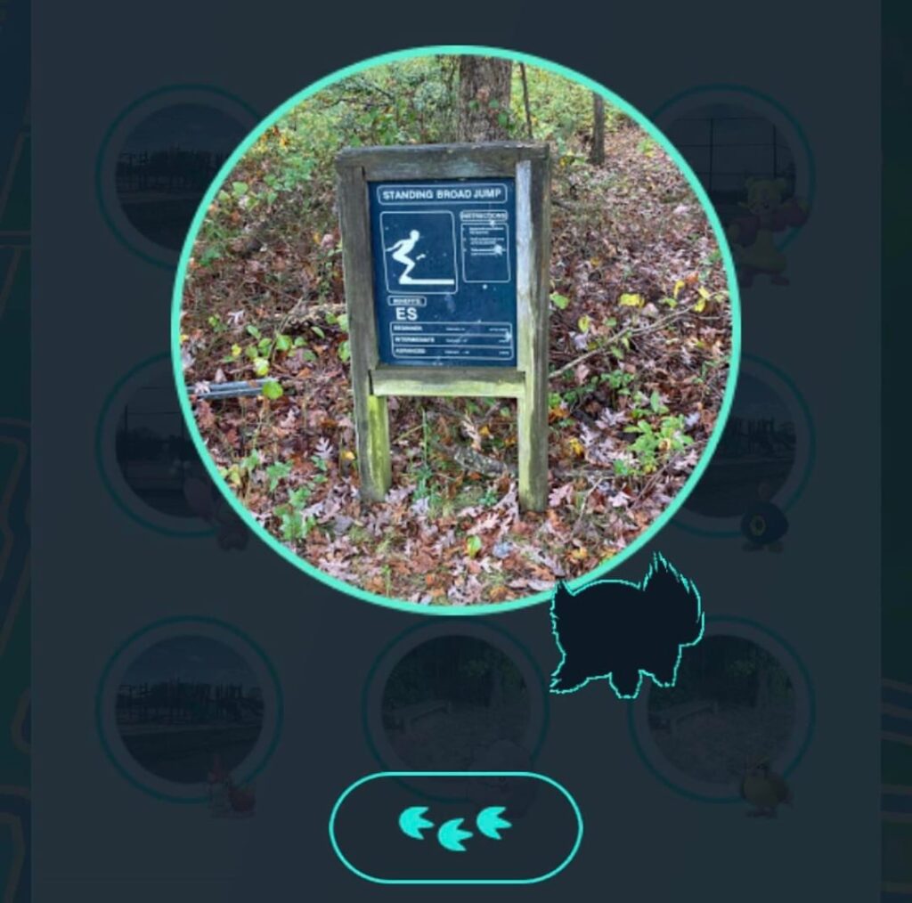 what is this pokemon