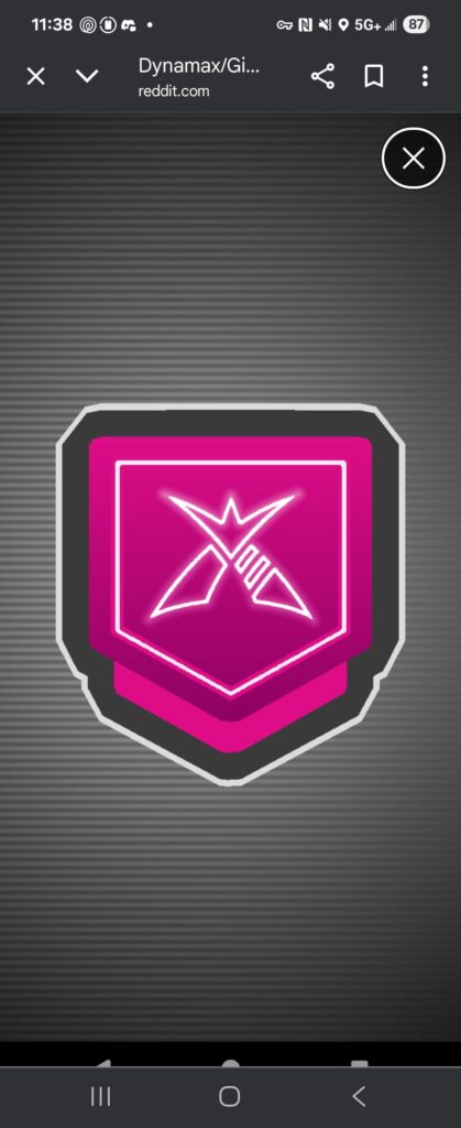 Dynamax game crash screen,help