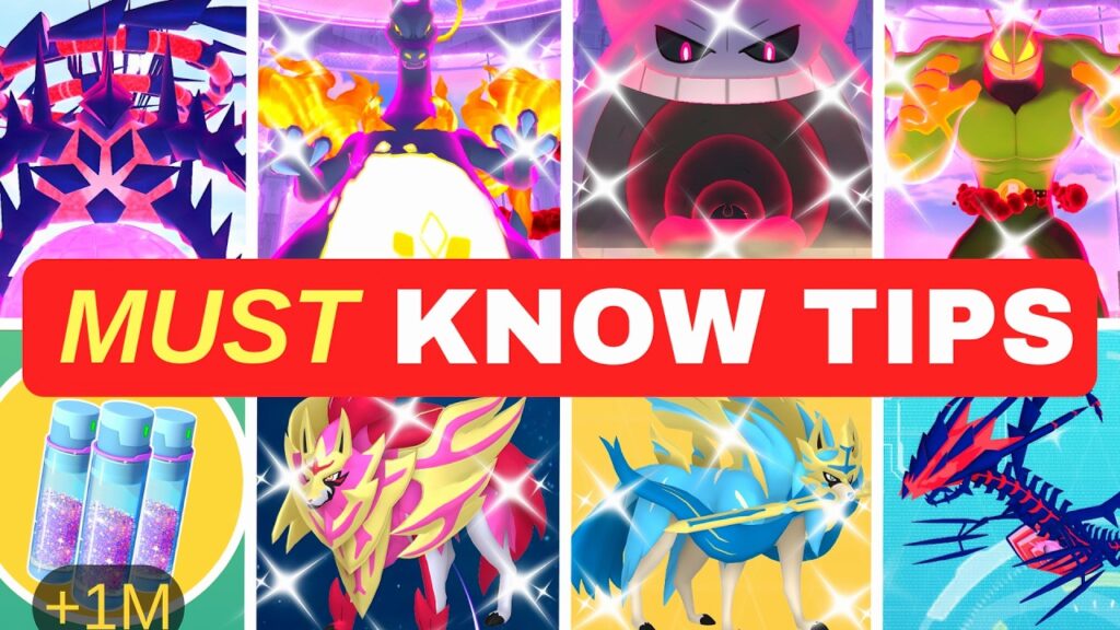 Watch This BEFORE The GO FEST MAX FINALE!